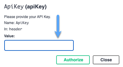 Paste your API Key.png