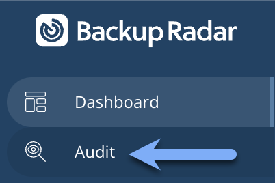 Audit Screen.png