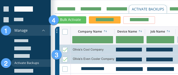 Manage > Activate Backups > Select Backups > Bulk Activate.png